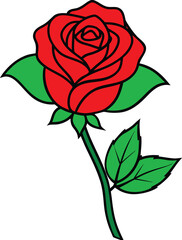 Obraz premium A single blooming rose with detailed petals vector illustration