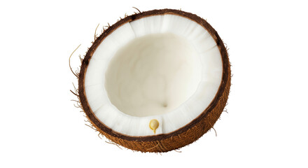 Isolated Coconut