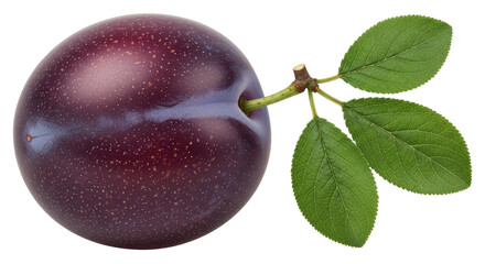 Isolated plum with leaf