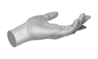 Hand gesture like a holding something isolated on transparent background. Contemporary art design