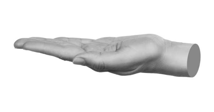 Hand gesture like a holding something isolated on transparent background. Contemporary art design
