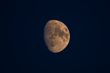 Obraz premium moon
