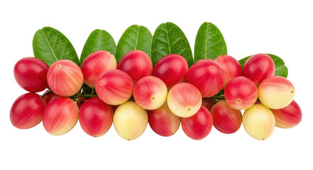 Isolated Carissa Carandas Berries