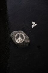 A dove of peace flies away from symbolic peace sign. Is there still hope for peace?