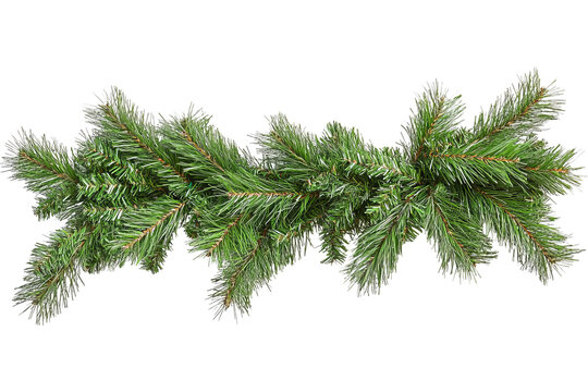 Green pine garland with dense needles and branches isolated on transparent background