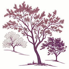 Obraz premium crabapple malus prairefire royal raindrops tree with leaves