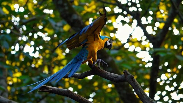 Colorful macaw parrot perched on a tree branch in a tropical forest, wings spread wide. Captures the exotic vibrancy and natural beauty of rainforest birds, perfect for wildlife and nature themes.