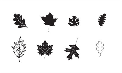 Set of different leaves silhouette isolated on white background vector art