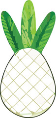 Simple white pineapple with green leafy crown a tropical fruit symbol for summer and healthy eating designs