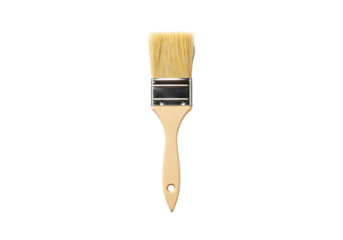 Paintbrush wood bristles handle tool art craft texture background black white isolated