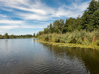 A lake surrounded by forest and a beautiful blue sky with clouds, silence and calm