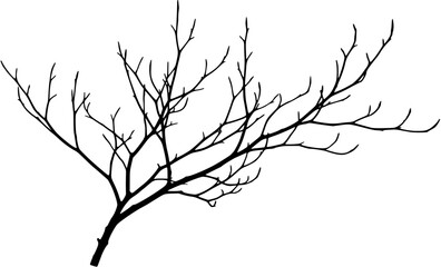 Fototapeta premium A bare branch Vector 