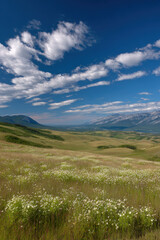 Fototapeta premium discover stunning summer landscapes and nature across canadian cities featuring majestic mountain peaks and lush