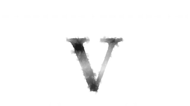The lowercase letter "v" appears as if ink has bled onto the paper, serif	
