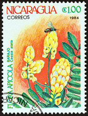 Cassia alata. Agricultural Flowers (Nicaragua 1984)