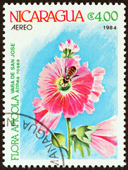 Althaea rosea. Agricultural Flowers (Nicaragua 1984)