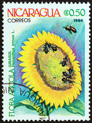 Sunflower. Agricultural Flowers (Nicaragua 1984)