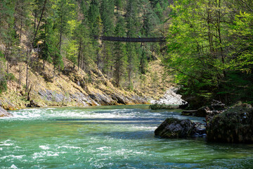A wooden suspension bridge over a mountain river among the forest in Wasserloch-Klamm-Palfau park, Austria