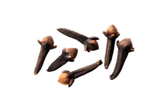 aromatic dry spice cloves arranged in a group
