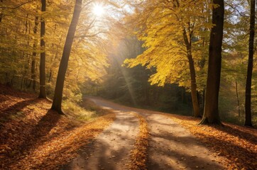 Obraz premium Herbstlicher Waldweg bei Sonnenlicht – malerische Naturaufnahme mit buntem Laub, geschwungenem Pfad und stimmungsvoller Lichtstimmung im Wald