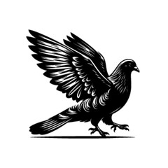 Fototapeta premium Graceful Pigeon Bird Vector Illustration