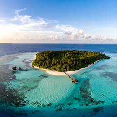 Tropical island paradise from above