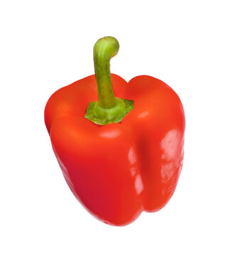 rote Paprika