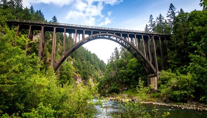 Fototapeta premium Steel Arch Bridge Over River, Forest Setting