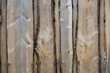 Fototapeta premium Natural wooden boards with bark edges aligned vertically. Close-up texture of unprocessed timber planks for rustic wall or fence design.
