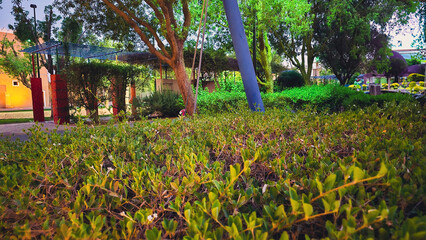 Discover the jewel of Saudi Arabia by night with this exclusive collection of images from the heart of National Museum, the birthplace of the first Saudi state.