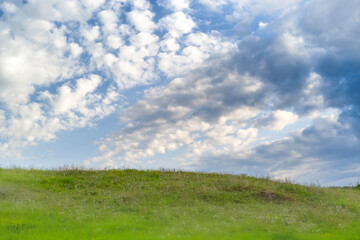 Fototapeta premium Green meadow under blue sky with textured cumulus clouds, cloudy sky over meadow with green grass and dandelions, landscape with blue sky and green meadow.