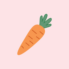 Illustration of fresh carrots with bright orange color and green leaves, suitable for healthy food, vegetables, diet, nutrition, agriculture and culinary design themes.