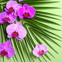 Vibrant orchids and palm leaves on a pastel background