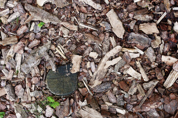Top view of a ground covered in shredded tree bark used for gardening