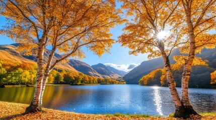 A tranquil lake reflects autumn colors as sunlight illuminates birch leaves, creating a peaceful atmosphere with mountains in the background