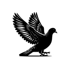 Beautiful Flying Pigeon Bird Vector Illustration