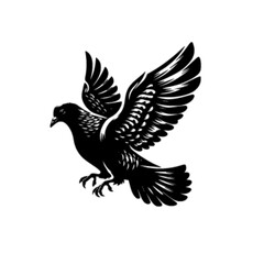 Realistic Flying Pigeon Bird Vector Illustration