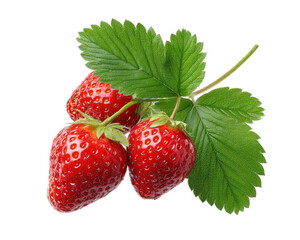 Fresh strawberry fruit with green leaf, vibrant red color, juicy texture, and natural shine, perfect for healthy eating, dessert, or summer harvest illustration