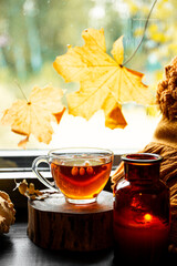 Mug of hot tea with sea buckthorn on the autumn window. Autumn and fall cozy vertical postcard with copy space for text