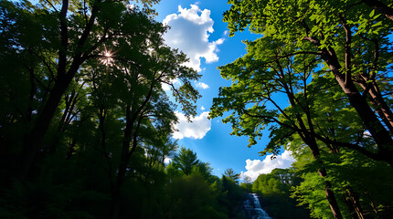 Obraz premium A stunning natural landscape of a green forest under a sunny blue sky with trees and clouds