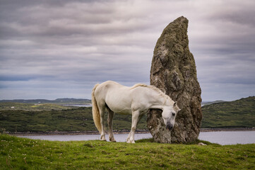 Irlande (Connemara)