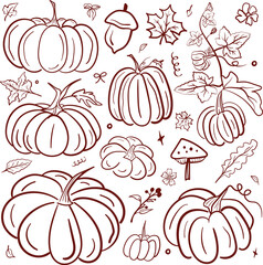 Pumpkin Line Art Illustration. Autumn Harvest, Halloween, Thanksgiving, Mushrooms and Leaves Pattern Design