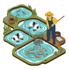 Isometric vector illustration of a shrimp farm worker harvesting shrimp from aquaculture ponds. Seafood farming and food production concept