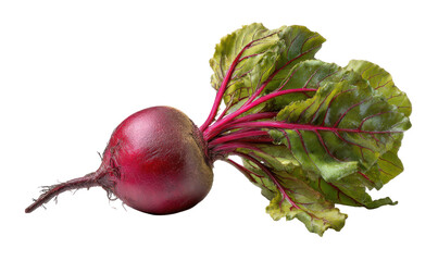 Close-up of a vibrant beetroot
