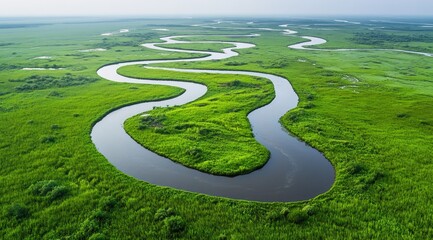 Serpentine river winds through lush green marsh