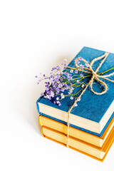 a stack of old tired yellowed books of brown and blue color tied with a rope and on top lies dried...