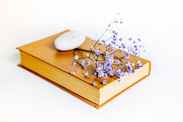 an old faded yellowed book of beige color lies on a white background, on the book lies dried flower...