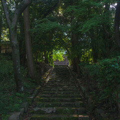 深緑の参道の石段