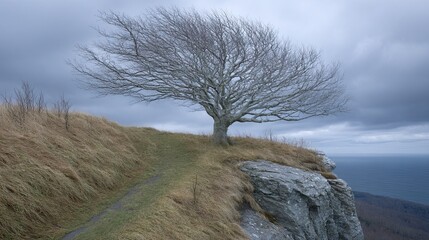 Lonely Tree on a Cliff with Dramatic Sky