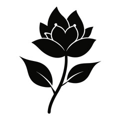  yulan flower silhouette vector  on white